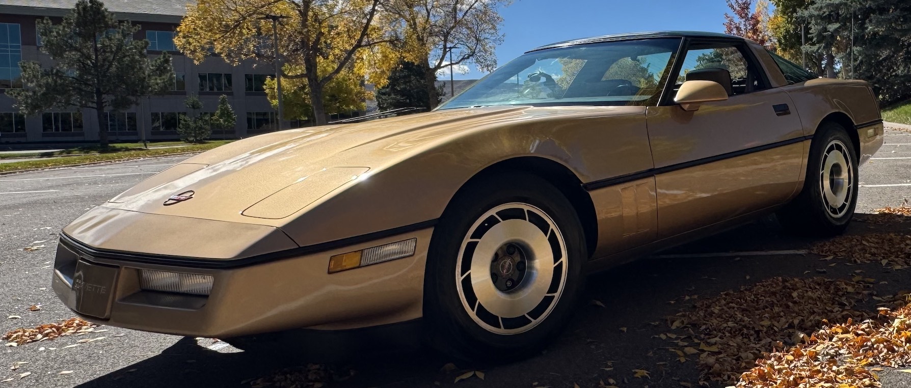 Corvette